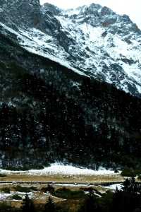 官鵝溝冬季 1 日遊冰瀑雪景全攻略