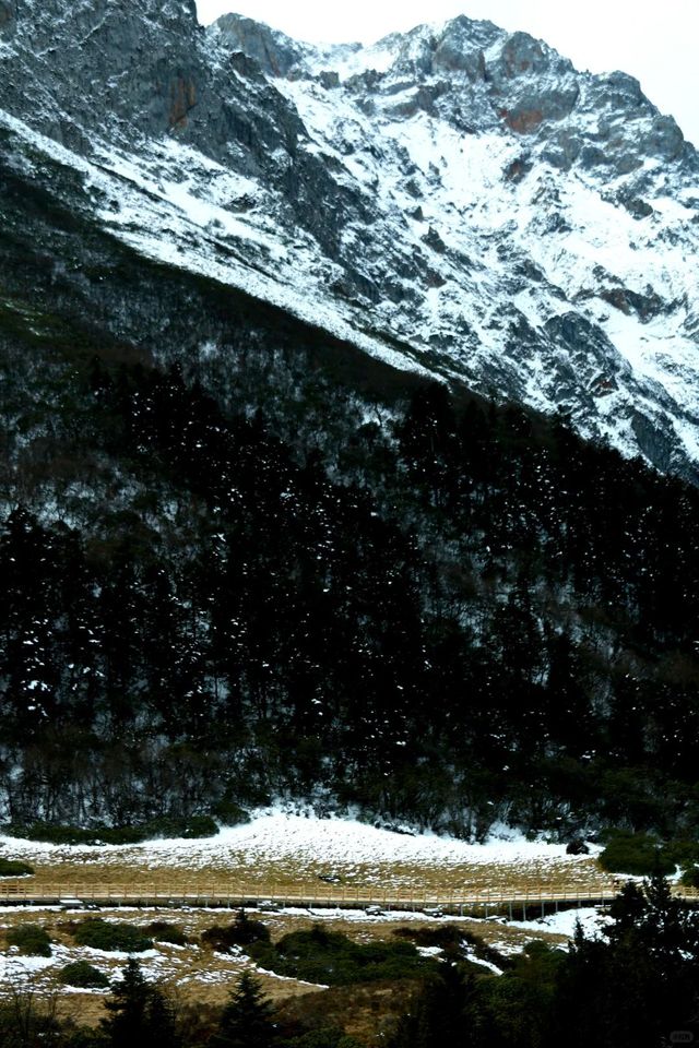 官鵝溝冬季 1 日遊冰瀑雪景全攻略