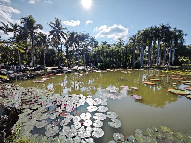 中國科學院西雙版納熱帶植物園真的太寶藏了，必須安利給大家