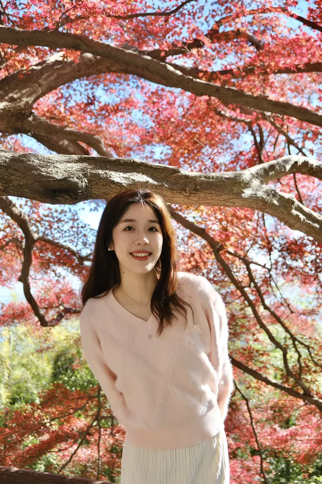 莫干山的楓葉紅啦錯過等一年