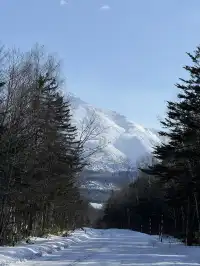 北海道｜美瑛旭川不包車不跟團一日遊