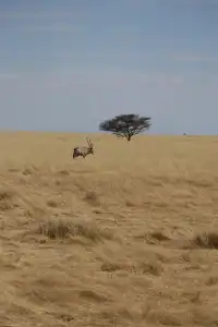 在非洲納米比亞9天全程幸福微醺