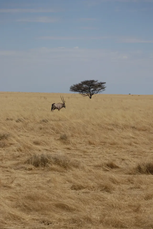 在非洲納米比亞9天全程幸福微醺
