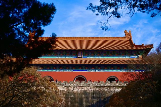 南京燕雀湖絕美水杉攻略秋日限定版油畫秘境 南京燕雀湖絕美水杉攻略秋日限定版油畫秘境