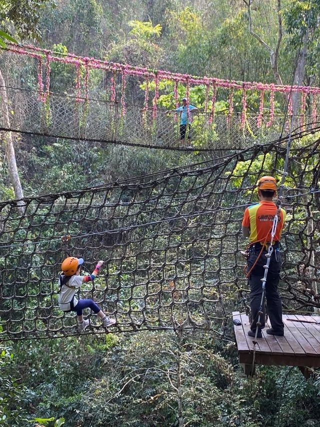 二次遊版納！一點都不累！小朋友說比迪士尼更好玩。