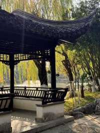 超全南京愚園冬日攻略！小眾玩法+拍照機位大公開