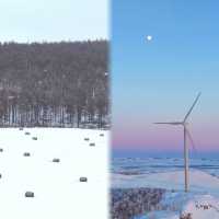 呼倫貝爾冬日自駕｜從海拉爾到阿爾山的冰雪童話之旅