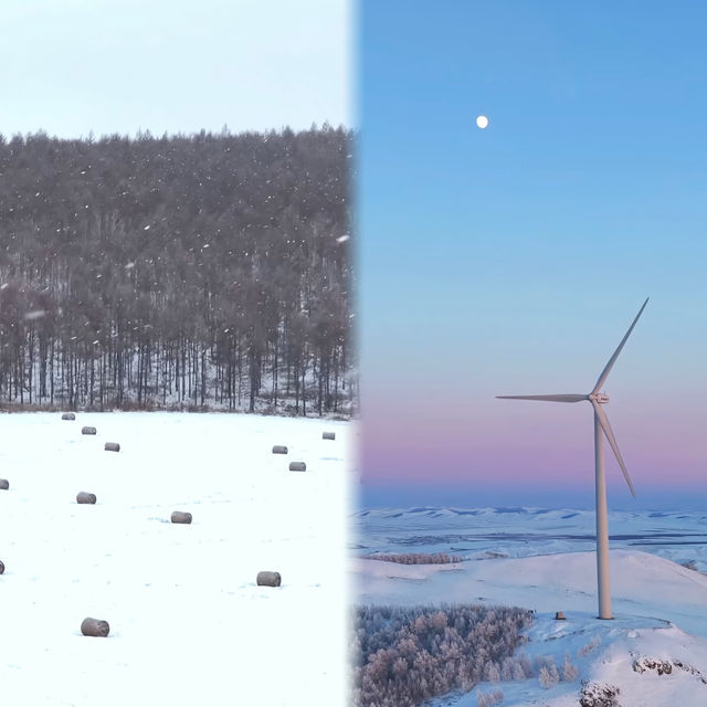 呼倫貝爾冬日自駕｜從海拉爾到阿爾山的冰雪童話之旅