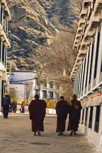 西藏day3|色拉寺 ·冬日拉薩鮮活的午後