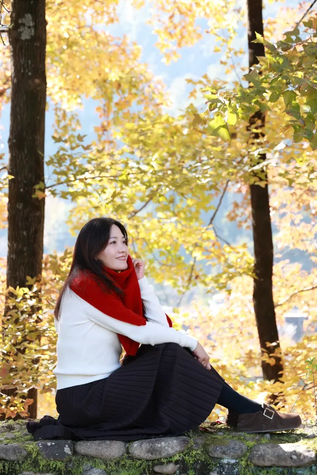 永嘉紅楓古道的紅楓紅了 永嘉紅楓古道的紅楓紅了