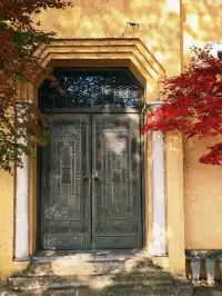 杭州紅楓反向線|3h拍爆西湖秋景~