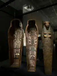 貓咪木乃伊你有看過嗎?