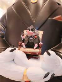 深圳新頂流!!全城偶遇的「瘋狂動物城」空降