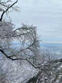 高速直達老君山50人+純玩團