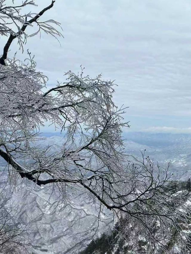 高速直達老君山50人+純玩團 高速直達老君山50人+純玩團