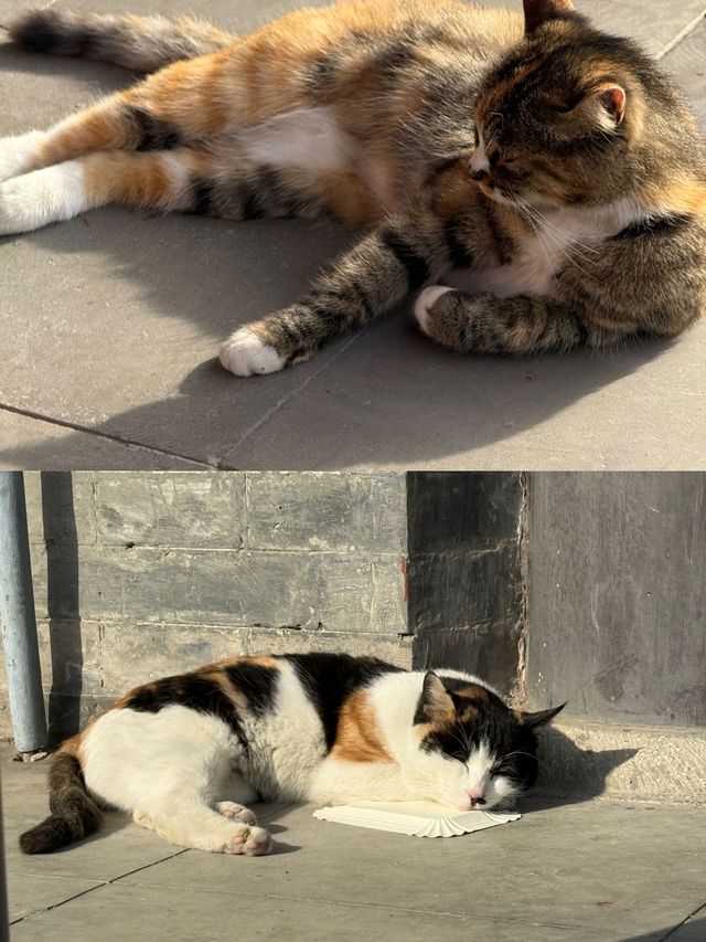 西安旅遊全攻略:穿越千年的長安之旅 西安旅遊全攻略:穿越千年的長安之旅