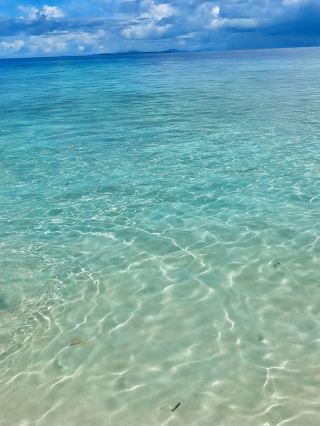 6-Day Ultimate Guide to Malaysia's Food, Scenery, and Must-Visit Spots