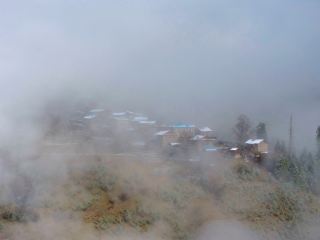 인기 인스타그램 명소에 몰리지 마세요! 여기가 바로 봄철 소수만 아는 핫플레이스입니다