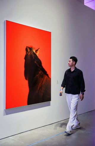 The "Horse" themed exhibition features stunning light and shadow effects; encounter a dreamlike horse at the Xie Zilong Photography Museum.
