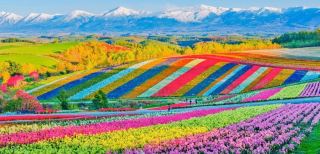 Osaka + Hokkaido | The Ultimate Journey from Kansai to Hokkaido