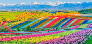大阪+北海道｜從關西到北海道的極致之旅