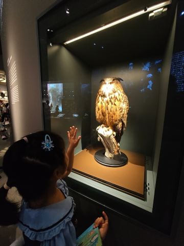 深圳の子ども連れ新スポット｜坪山自然博物館 7.28 開館 | Trip.com 深セン