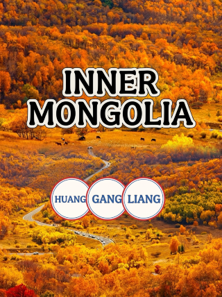 I say autumn days surpass spring mornings! Inner Mongolia Huanggangliang | A free forest sea secret along the Rea Line