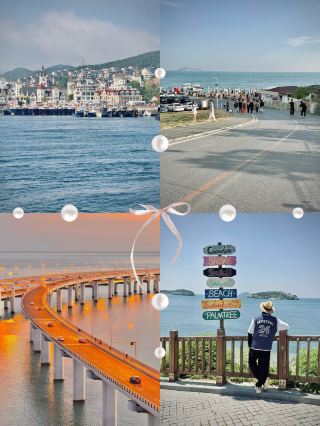 Because of the textbook, I fell in love with Dalian—this is truly an ideal seaside city