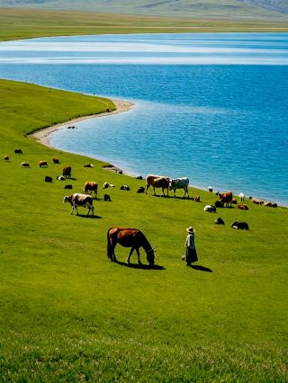 Inner Mongolia Ulan Butong Grassland | I thought only Xinjiang was beautiful, until I came to Ulan Butong