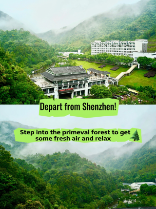 Summer escape from Shenzhen | Step into a primeval forest to breathe fresh air and relax