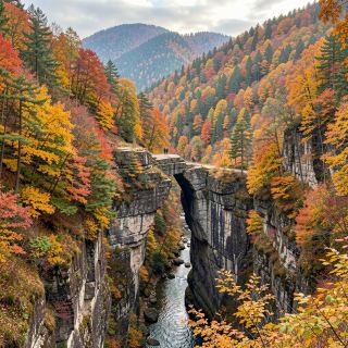 The red leaves at Tianshengqiao Waterfall are at their peak