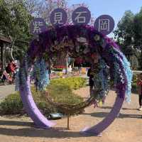 石崗 情人橋 鬱金香節