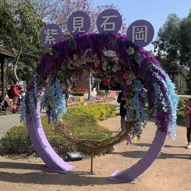 石崗 情人橋 鬱金香節