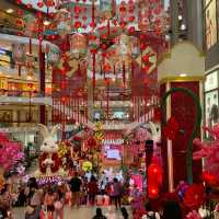 Chinese New Year Decorations 