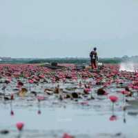 "พัทลุง" เมือง(ลอง)น่าเที่ยว | 15 จุดเช็คอิน
.....