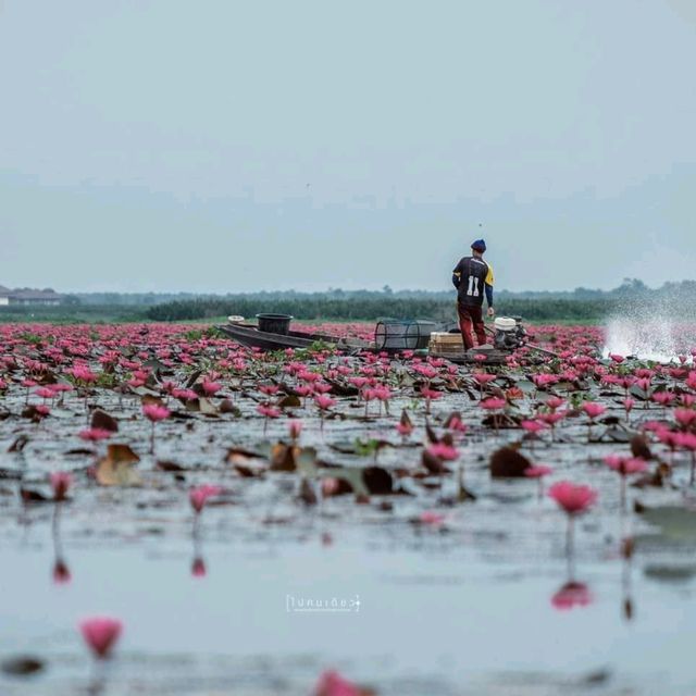 "พัทลุง" เมือง(ลอง)น่าเที่ยว | 15 จุดเช็คอิน
.....