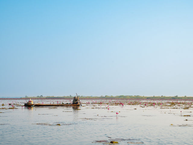 Red Lotus Lake, Udorn Thani - Unseen Thailand Red Lotus Lake, Udorn Thani - Unseen Thailand