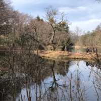 Kumoba Pond in Karuizawa