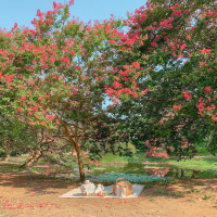 예쁜 계절 여름, 담양 여행코스 추천🌸💖