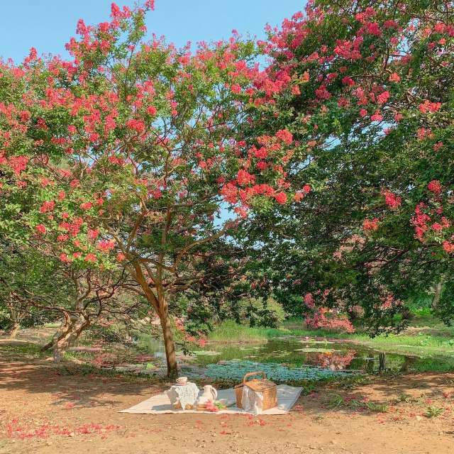예쁜 계절 여름, 담양 여행코스 추천🌸💖