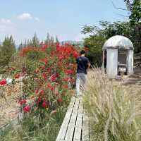 Scenic Rabbit/Chicken Farm @ Ratchaburi