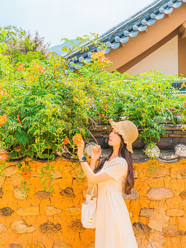 🌿5월 꼭 가봐야할 대구•경주 여행지🌸