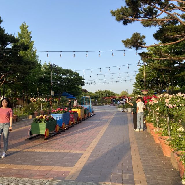대전 무료 한밭수목원 개방 동원 식물원, 장미원