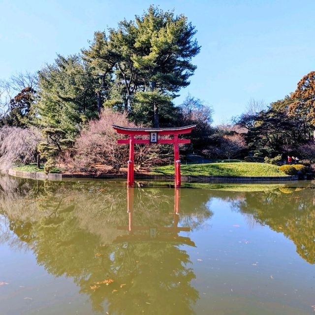 Brooklyn's Oasis: The Japanese Pond & Garden