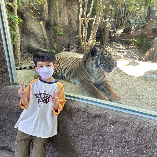 【 近距離親親小動物。神戶動物王國 】