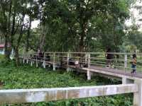 ดินแดนหิ่งห้อยนับแสน ณ ปราจีนบุรี