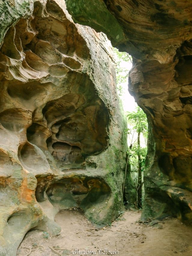 จุดชมวิวหินช้างสี อุทยานแห่งชาติน้ำพอง ขอนแก่น