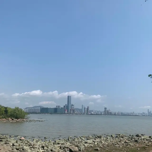 深圳綠化景點—深圳灣公園