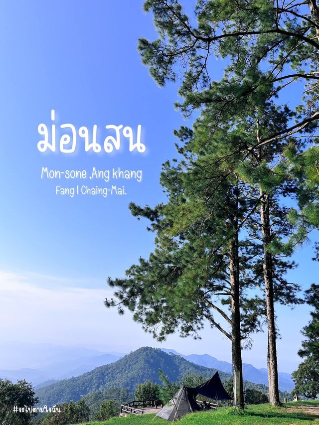 ม่อนสน ดอยอ่างขาง เชียงใหม่