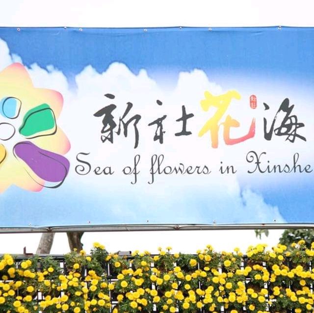 Sea of Flowers in Xinshe